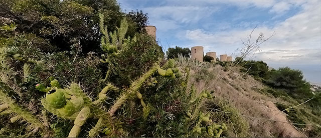 360°-VR-Panorama Los Molinos de la Plana de Jávea