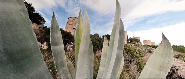 360°-VR-Panorama Los Molinos de la Plana de Jávea