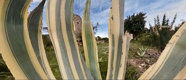 360°-VR-Panorama Los Molinos de la Plana de Jávea