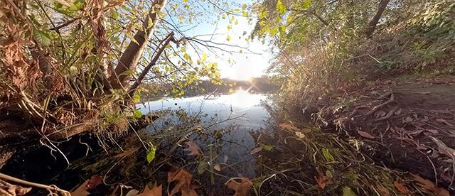 360° VR-Ansicht im Vogelschutzgebiet Heisinger Bogen am Baldeneysee Essen