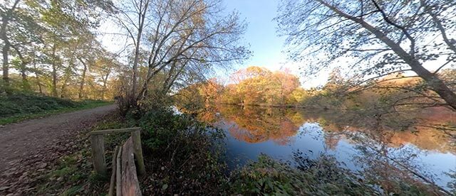 360° VR-Ansicht im Vogelschutzgebiet Heisinger Bogen am Baldeneysee Essen