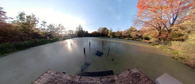 360°-Panorama im Vogelschutzgebiet Heisinger Bogen am Baldeneysee Essen