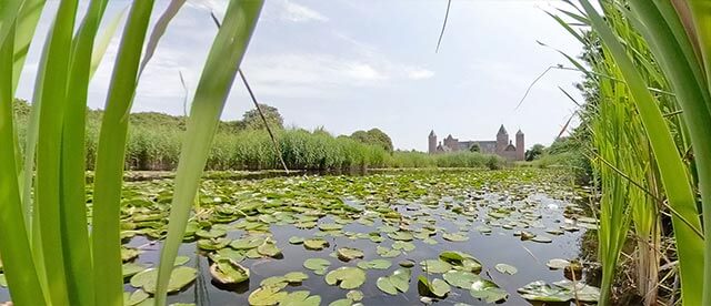 360°-VR-Panorama Beschermd landschapsgebied "De Manteling" en Kasteel Westhove in Oostkapelle (NL)