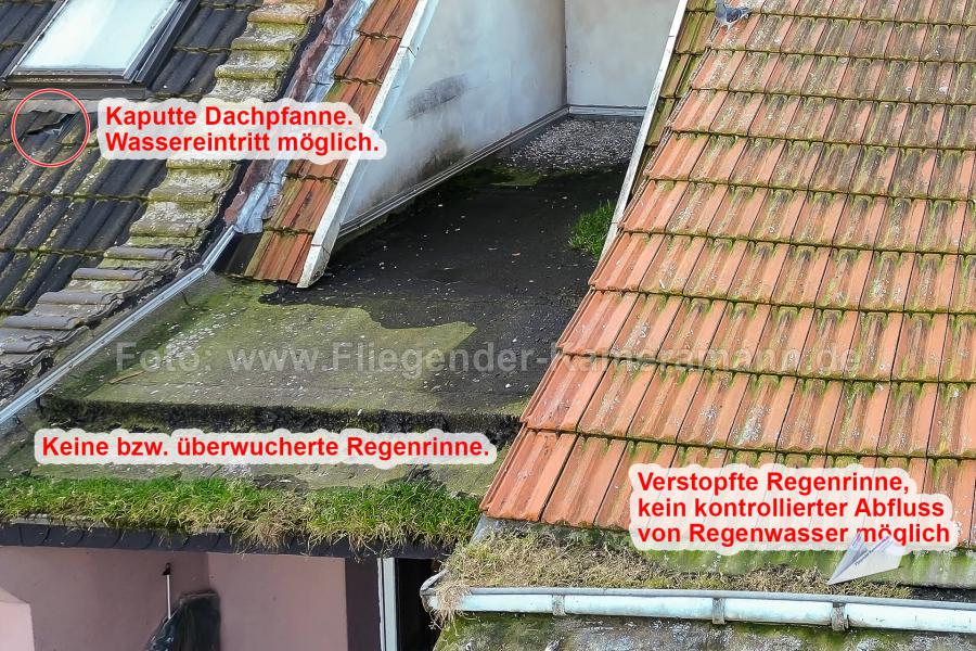 Die Luftaufnahme zeigt deutlich die verstopften und zugewachsenen Regenrinnen des Dachabschnitts.