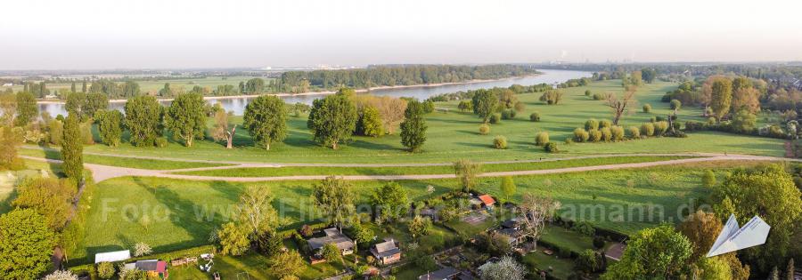 Luftbild der Rheinauen bei Düsseldorf mit Drohne