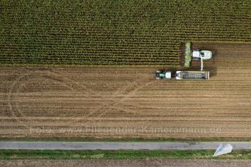 Foto mit Drohne: Luftaufnahmen mit Drohne in der Region Wickede, Fröndenberg, Menden und dem Sauerland