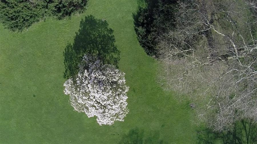 Kameradrohne bei schönem Wetter für hochauflösende Luftbilder und Luftaufnahmen (Fotos und Videos)