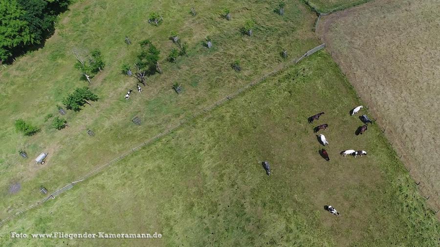 Kameradrohne mit Blick auf Witten für hochauflösende Luftbilder und Luftaufnahmen (Fotos und Videos)