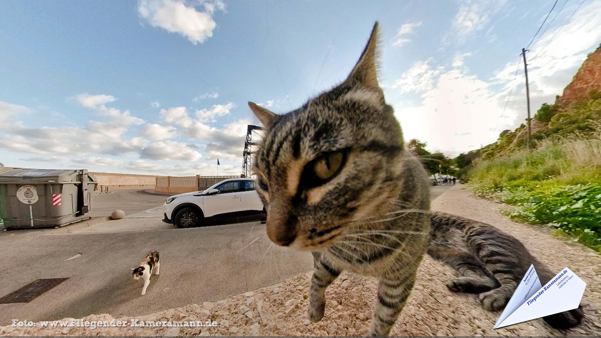 Gatos en Jávea/Xàbia (ES) - 360°-Panorama