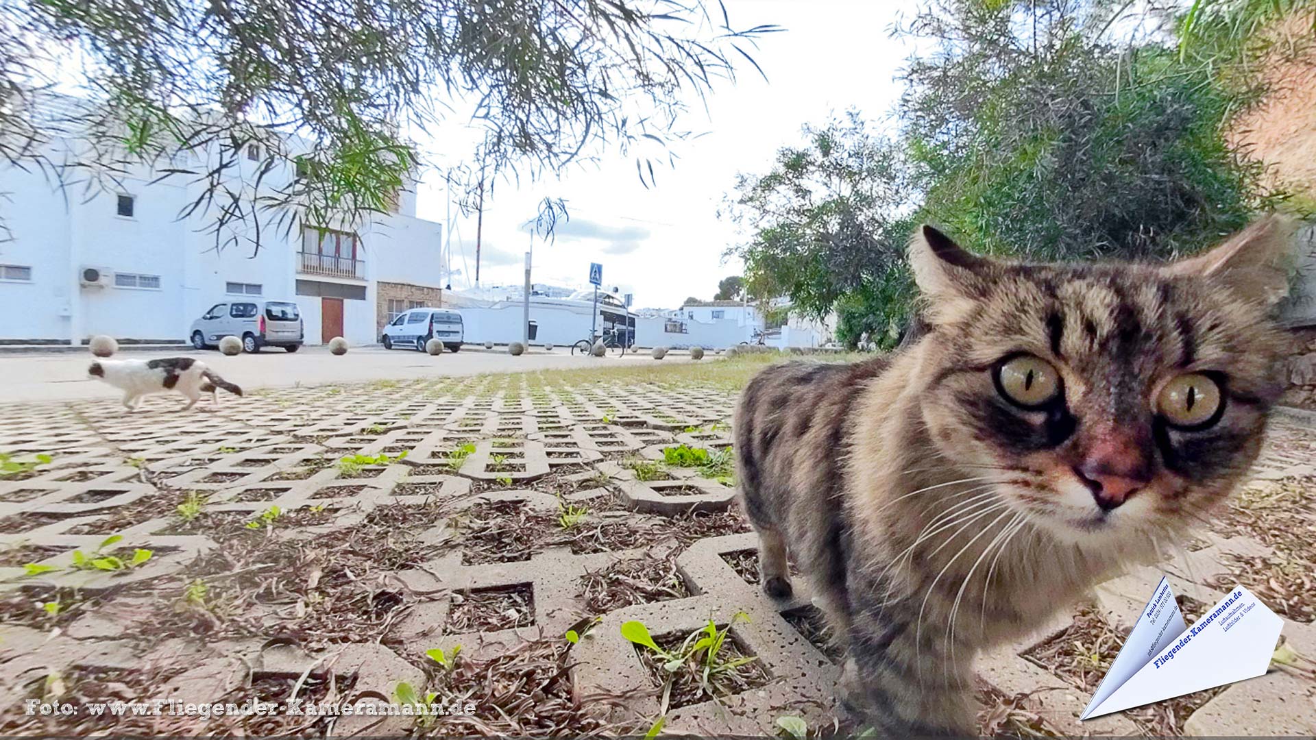 Gatos en Jávea/Xàbia (ES) - 360°-Panorama