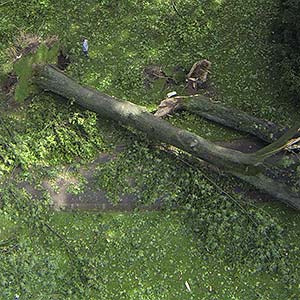 Luftaufnahmen unserer Kamera-Drohne der Sturmschäden im Stadtpark Bochum