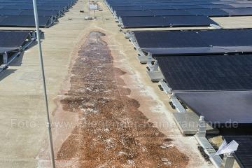 Photovoltaik-Dokumentation mit Drohne in NRW. Übersichts- und Nahaufnahmen von Modulfeldern, Anlagenaufbau und sichtbaren Details von PV-Anlagen