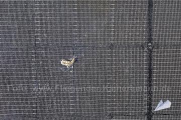 Photovoltaik-Dokumentation mit Drohne in NRW. Übersichts- und Nahaufnahmen von Modulfeldern, Anlagenaufbau und sichtbaren Details von PV-Anlagen