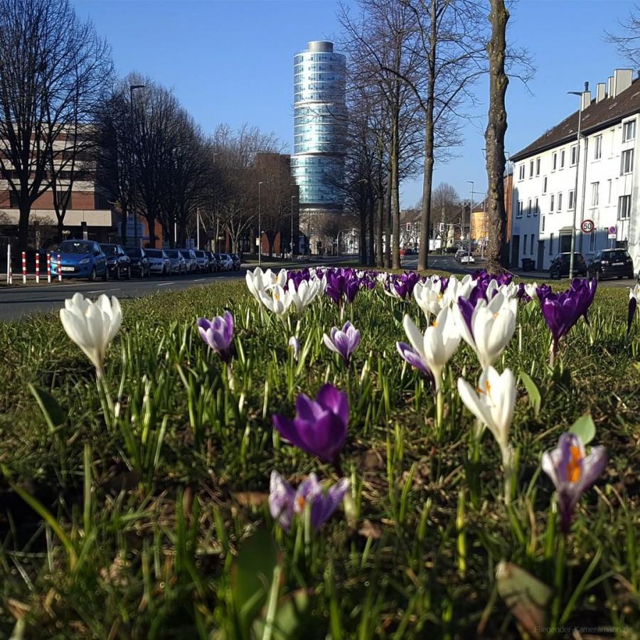 Luftaufnahmen von Immobilien mit Drohne