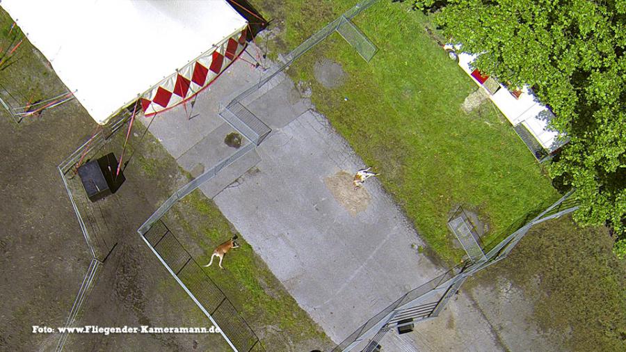Luftbilder / Luftaufnahmen Zirkus