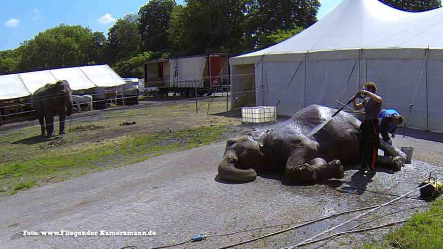 Luftbilder / Luftaufnahmen Zirkus