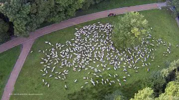 Foto mit Drohne: Landwirtschaft, Forstwirtschaft